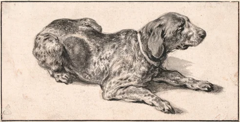 Liegender Hund